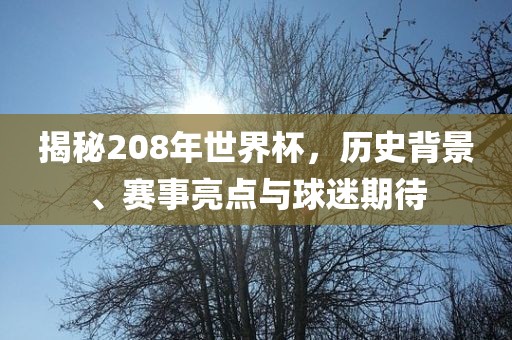 揭秘208年世界杯，历史背景、赛事亮点与球迷期待