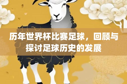历年世界杯比赛足球，回顾与探讨足球历史的发展