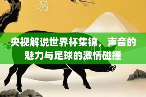 央视解说世界杯集锦，声音的魅力与足球的激情碰撞