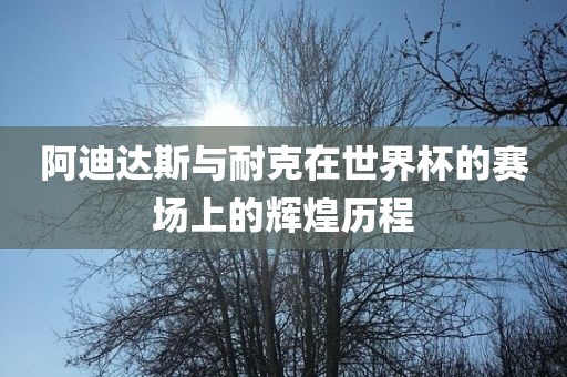 阿迪达斯与耐克在世界杯的赛场上的辉煌历程漯河市盈旭机械设备有限公司