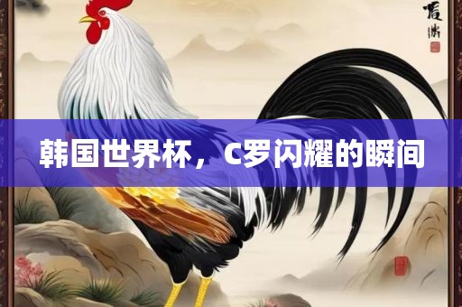 韩国世界杯，C罗闪耀的瞬间