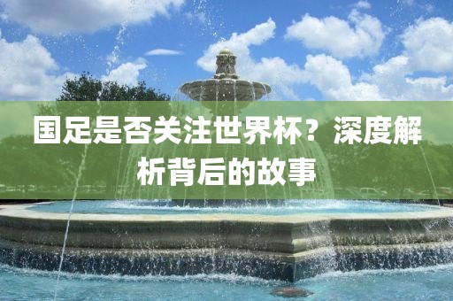 国足是否关注世界杯？深度解析背后的故事