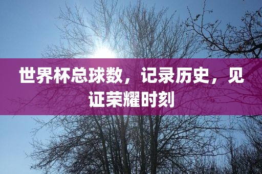 世界杯总球数，记录历史，见证荣耀时刻