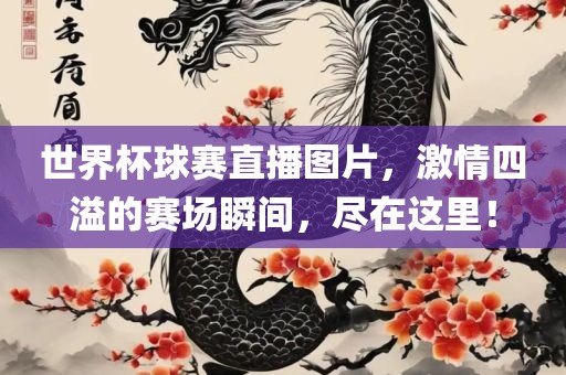 世界杯球赛直播图片，激情四溢的赛场瞬间，尽在这里！漯河市盈旭机械设备有限公司