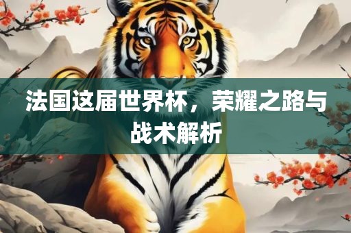 法国这届世界杯，荣耀之路与战术解析