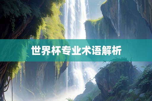 世界杯专业术语解析漯河市盈旭机械设备有限公司