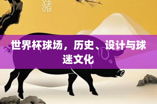 世界杯球场，历史、设计与球迷文化