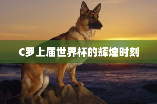 C罗上届世界杯的辉煌时刻漯河市盈旭机械设备有限公司