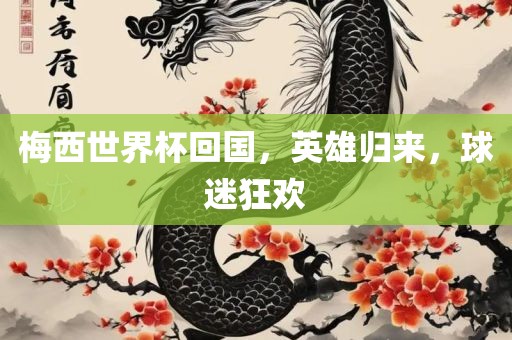 梅西世界杯回国，英雄归来，球迷狂欢