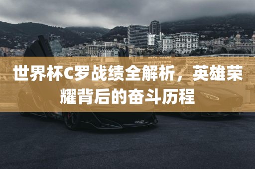 世界杯C罗战绩全解析，英雄荣耀背后漯河市盈旭机械设备有限公司的奋斗历程