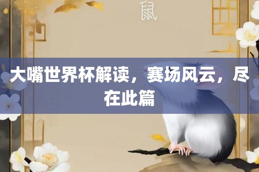 大嘴世界杯解读，赛场风云，尽在此篇