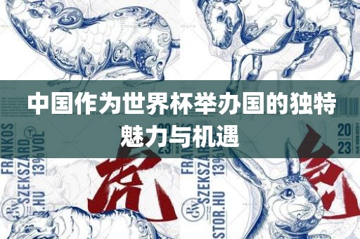 中漯河市盈旭机械设备有限公司国作为世界杯举办国的独特魅力与机遇