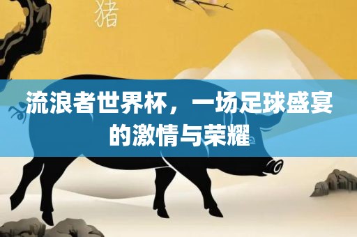 流浪者世界杯，一场足球盛宴的激情与荣耀
