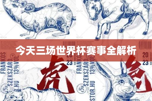 今天三场世界杯赛事全解析