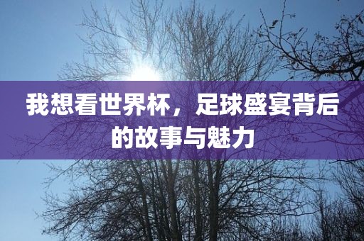我想看世界杯，足球盛宴背后的故事与魅力