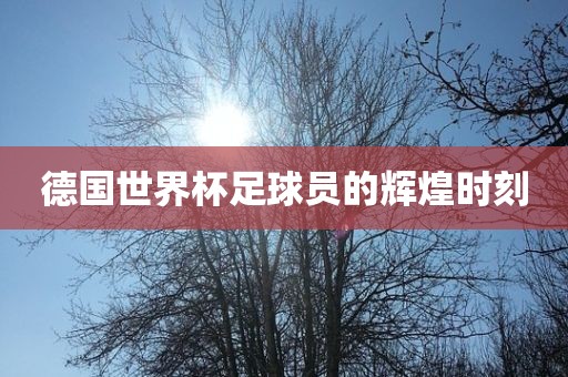 德国世界杯足球员的辉煌时刻