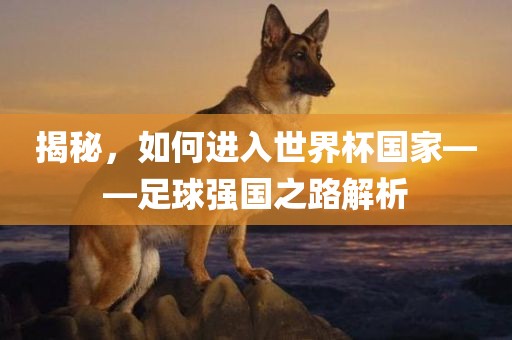 揭秘，如何进入世界杯国家——足球强国之路解析