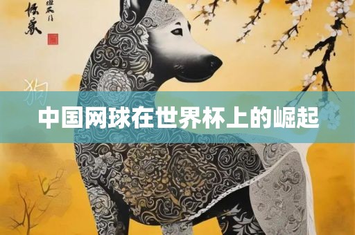 中国网球在世界杯上的崛起