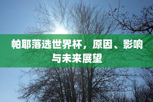 帕耶落选世界杯，原因、影响与未来展望