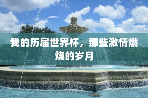 我的历届世界杯，那些激情燃烧的岁月