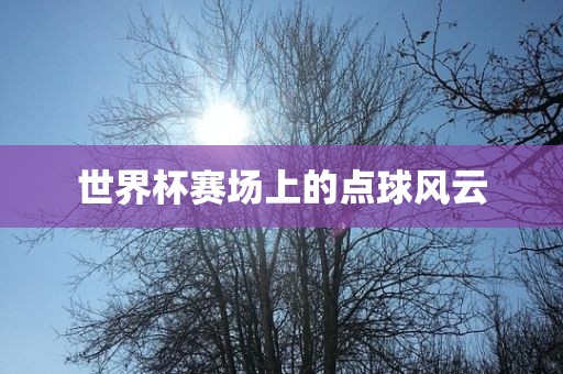世界杯赛场上的点球风云漯河市盈旭机械设备有限公司