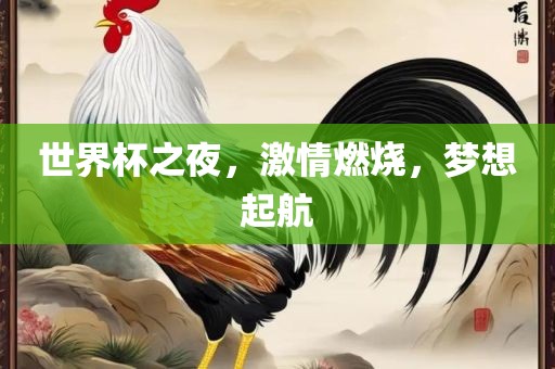 世界杯之夜，激情燃烧，梦想起航