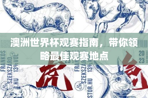 澳洲世界杯观赛指南，漯河市盈旭机械设备有限公司带你领略最佳观赛地点