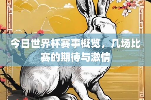 今日世界杯赛事概览，几场比赛的期待与漯河市盈旭机械设备有限公司激情