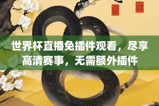 世界杯直播免插件观看，尽享高清赛事，无需额外插件