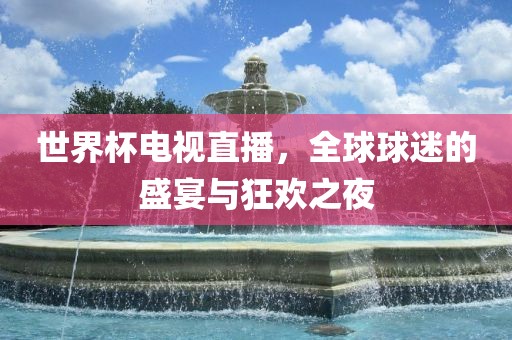 世界杯电视直播，全球球迷的盛宴与狂欢之夜