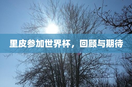 里皮参加世界杯，回顾与期待漯河市盈旭机械设备有限公司