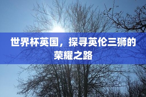 世界杯英国，探寻英伦三狮的荣耀之路