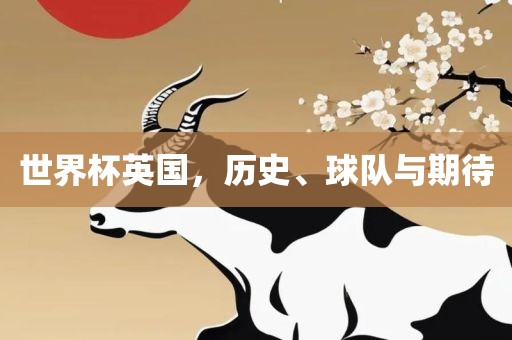世界杯英国，历史、球队与期待