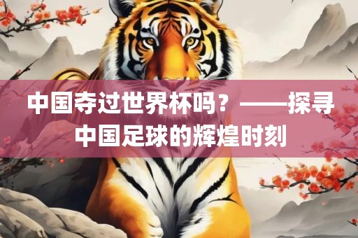 中国夺过世界杯吗？——探寻中国足球的辉煌时刻
