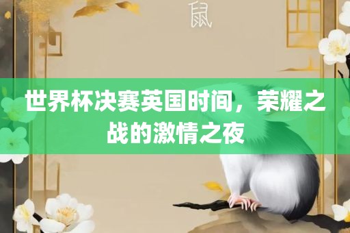 世界杯决赛英国时间，荣耀之战的激情之夜