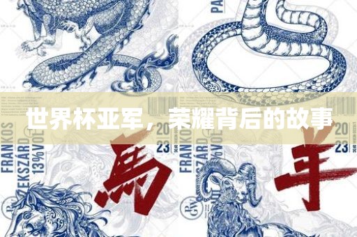 世界杯亚军，荣耀背后的故事