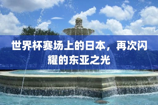 世界杯赛场上的日本，再次闪耀的东亚之光漯河市盈旭机械设备有限公司