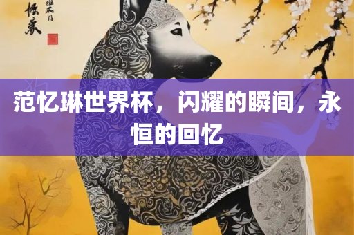 范忆琳世界杯，闪耀的瞬间，永恒的回忆