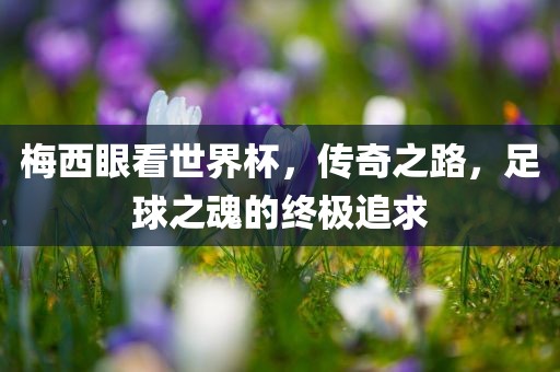 梅西眼看世界杯，传奇之路，足球之魂的终极追求漯河市盈旭机械设备有限公司