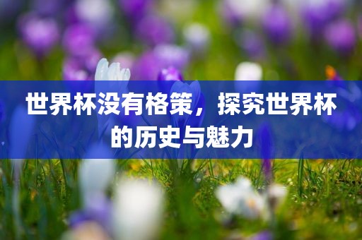 世界杯没有格策，探究世界杯的历史与魅力