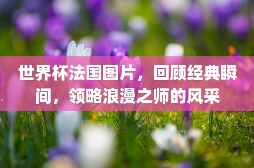 世界杯法国图片，回顾经典瞬间，领略浪漫之师的风采