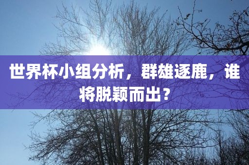 世界杯小组分析，群雄逐鹿，谁将脱颖而出？