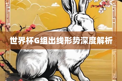 世界杯G组出线形势深度解析