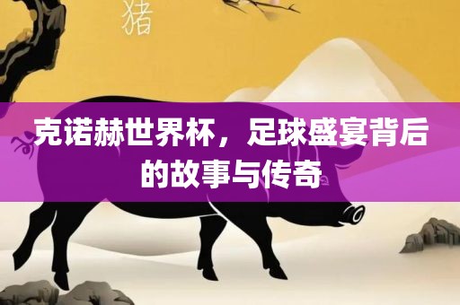 克诺赫世界杯，足球盛漯河市盈旭机械设备有限公司宴背后的故事与传奇