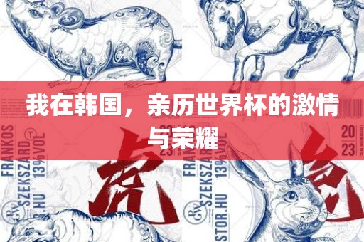 我在韩国，亲历世界杯漯河市盈旭机械设备有限公司的激情与荣耀