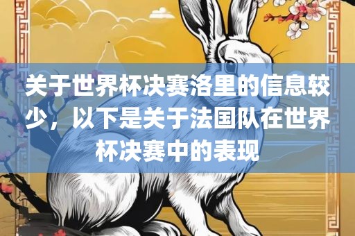 关于世界杯决赛洛里的信息较少，以下是漯河市盈旭机械设备有限公司关于法国队在世界杯决赛中的表现