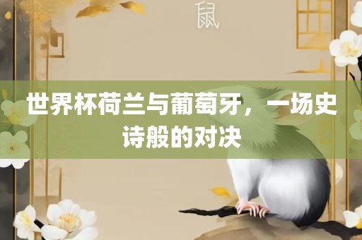 世界杯荷兰与葡萄牙，一场史诗般的对决漯河市盈旭机械设备有限公司