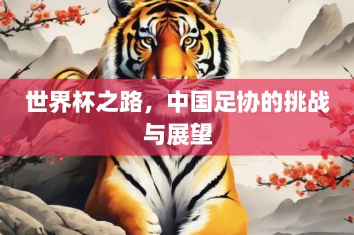 世界杯之路，中国足协的挑战与展望