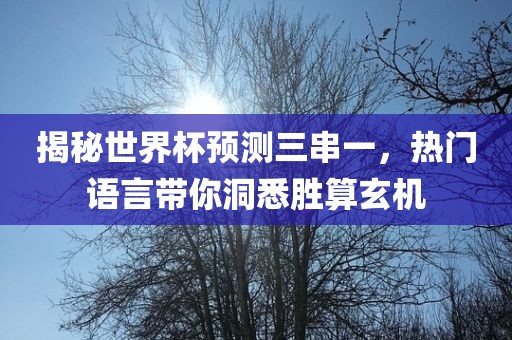 揭秘世界杯预测三串一，热门语言带你洞悉胜算玄机