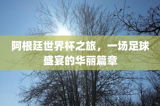 阿根廷世界杯之旅，一场足球盛宴的华丽篇章